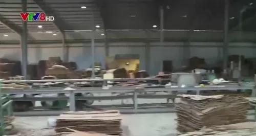 Tạm đình chỉ công ty xảy ra vụ nổ làm 11 người bị thương