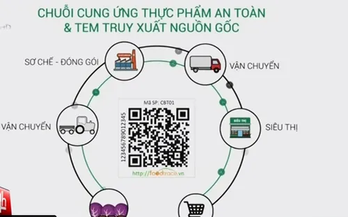 Người dân TP.HCM sắp được truy xuất nguồn gốc sản phẩm rau củ
