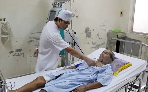 Cứu sống bệnh nhân bị ong vò vẽ đốt hơn 70 vết