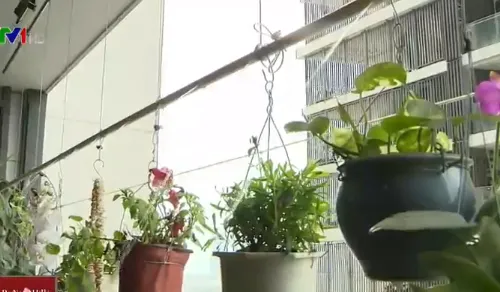 Tưới cây bằng... điện thoại thông minh