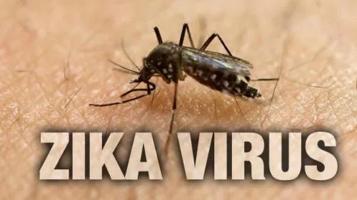 Hà Nội tăng cường phòng chống Zika tại bệnh viện