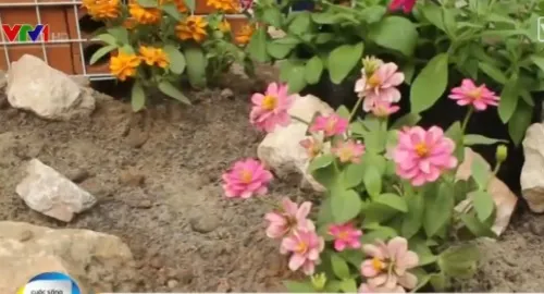 "Hô biến" bãi rác thành… vườn hoa