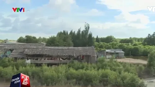 Xây nhà trái phép gây sạt lở thân đê biển