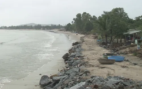 Đà Nẵng: Sạt lở bờ biển nghiêm trọng, uy hiếp hàng chục hộ dân