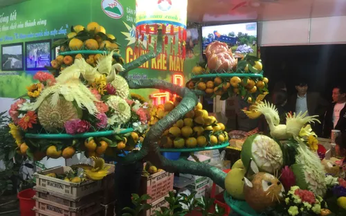 Quảng bá, tôn vinh thương hiệu cam và các nông sản của tỉnh Hà Tĩnh