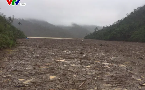 "Cơn lũ gỗ" thượng nguồn đổ về đập thủy điện Hố Hô (Hà Tĩnh)