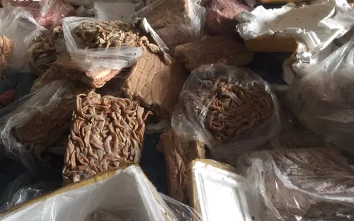 Hà Tĩnh: Tiêu hủy 23 tấn nội tạng động vật không rõ nguồn gốc