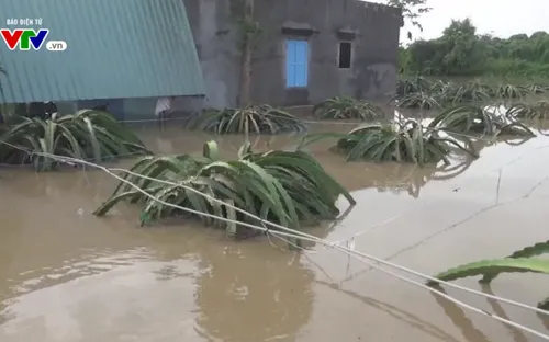 Bình Thuận: Khẩn trương khắc phục thiệt hại do mưa lũ tại huyện Hàm Thuận Nam