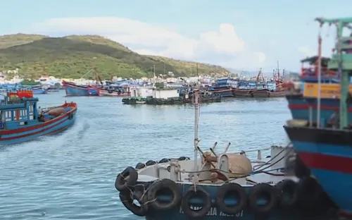 Đánh bắt hải sản có trách nhiệm - "tối hậu thư" cần thực hiện