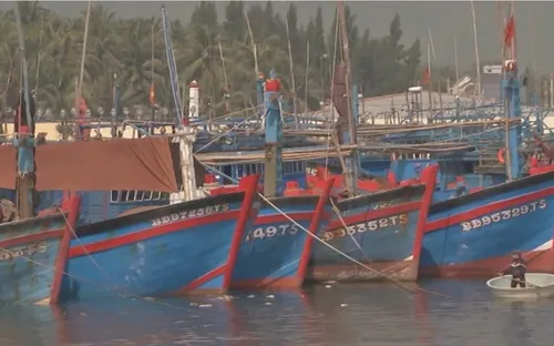 Ngư dân Bình Định ký cam kết không vi phạm lãnh hải