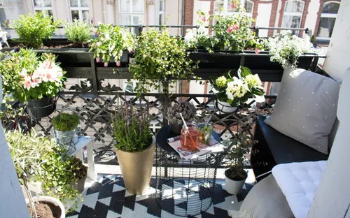 Biến ban công nhỏ tại nhà thành khoảng không gian xanh mùa hè