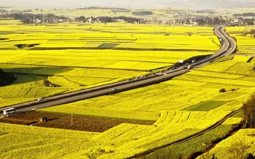 ĐBSCL trước thách thức từ biến đổi khí hậu: Thích ứng để phát triển