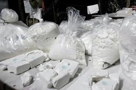 Colombia thu giữ 1 tấn ma túy