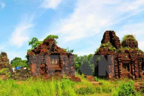 Phát hiện một đường cổ trong lòng đất ở Thánh địa Mỹ Sơn