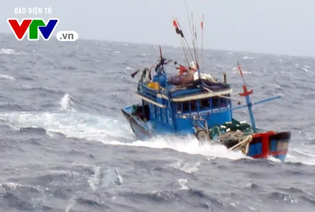 Thanh Hóa tiếp tục tìm kiếm 10 thuyền viên mất tích