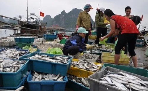 Yêu cầu đẩy nhanh chi trả bồi thường cho người dân 4 tỉnh miền Trung