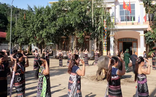 90 làng Cơ tu bỏ tục đâm trâu