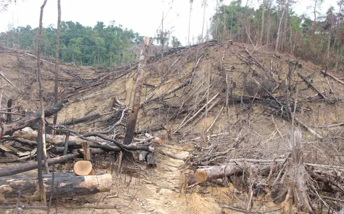 Nói điều muốn nói: "Chuyện lạ" trong vụ phá rừng Tiên Lãnh…