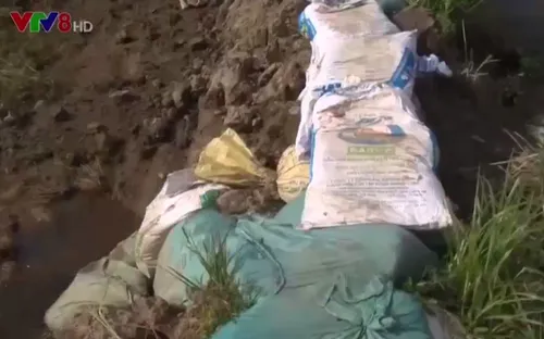 Hơn một nửa hệ thống đê bao tại Thừa Thiên-Huế xuống cấp nghiêm trọng