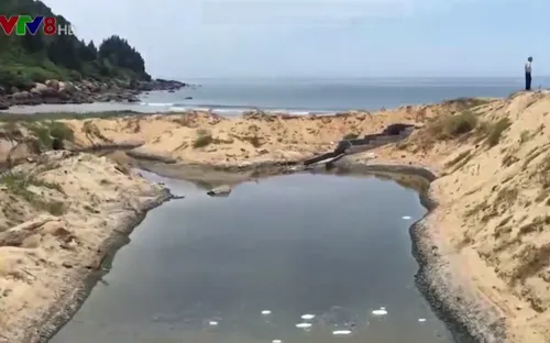 Nuôi tôm gây ô nhiễm ngay trên đất quốc phòng tại Thừa Thiên-Huế