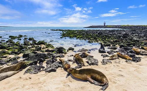 Để có trải nghiệm lãng mạn và phiêu lưu, các cặp đôi không nên bỏ qua những nơi này!