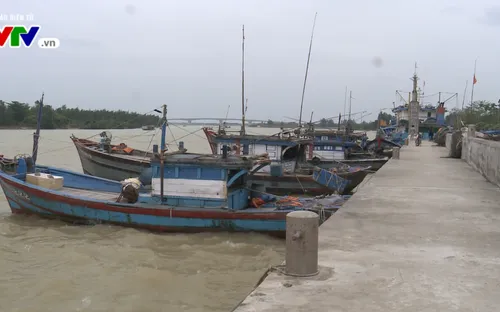 Bãi biển bồi lấp - ngư dân Quảng Nam gặp khó