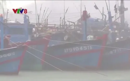 Các tỉnh miền Trung bố trí lực lượng sẵn sàng ứng phó áp thấp nhiệt đới trong đêm