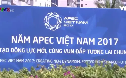 Hôm nay khai mạc Hội nghị thượng đỉnh doanh nghiệp APEC (THTT 14h 8/11, VTV8)