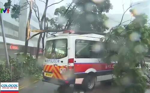 Bão Hato di chuyển 60 km/h, Trung Quốc đặt cảnh báo ở mức cao nhất