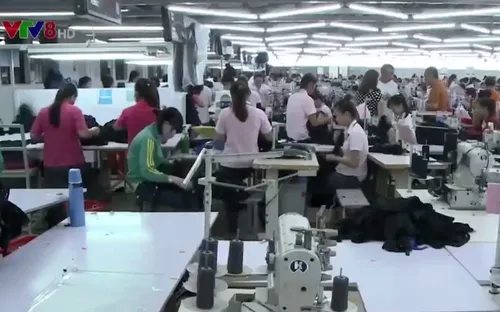 Quảng Nam khó xử lý nhiều doanh nghiệp nợ đọng bảo hiểm