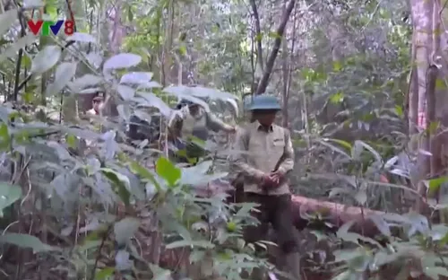 Thừa Thiên - Huế tăng cường bảo tồn các loài động vật quý hiếm