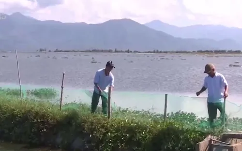 Thừa Thiên Huế chủ động bảo vệ thủy sản nuôi trồng mùa mưa lũ