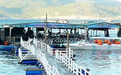 Khánh Hòa chưa xử lý triệt để bè nổi mất an toàn