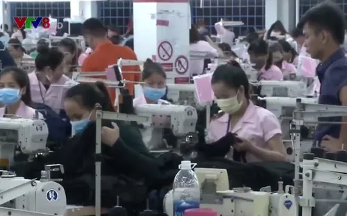 Quảng Nam: Khó khởi kiện các doanh nghiệp nợ đọng bảo hiểm