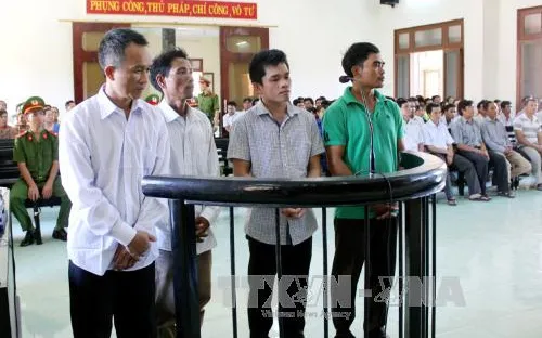 Tuyên án vụ phá rừng nghiêm trọng tại Phú Yên