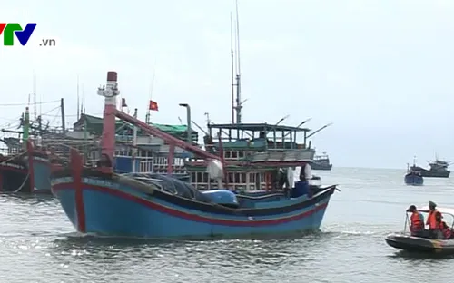 Bình Thuận cấm tàu thuyền ra biển, đề phòng bão số 16