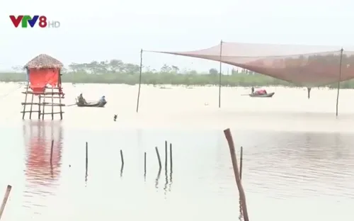 [ĐƯỜNG DÂY NÓNG VTV8]: Khúc mắc chi trả bồi thường sự cố môi trường biển ở Hà Tĩnh