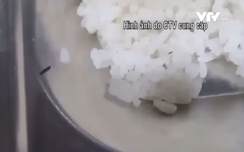 Đường dây nóng VTV8: 2000 công nhân ngừng làm việc để phản đối bữa trưa có "sinh vật lạ"