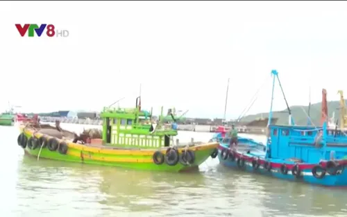 Các tỉnh Nam Trung bộ cấm ngư dân ở lại trên thuyền, lồng bè