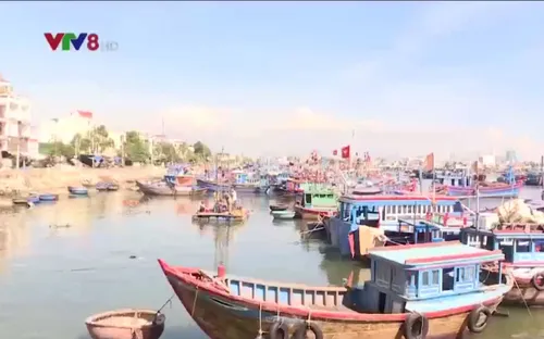 Khánh Hòa đầu tư, nâng cấp mở rộng các cảng cá