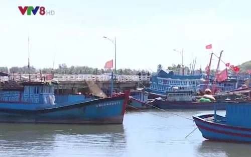 Nỗi lo thiếu nơi neo đậu của ngư dân Quảng Ngãi