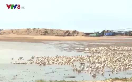 Phú Yên tiến hành nạo vét thông luồng cảng Đông Tác