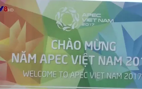 Đà Nẵng tăng cường kiểm tra vệ sinh môi trường chuẩn bị phục vụ APEC