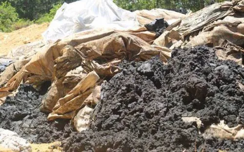 Phạt trên 1 tỷ đồng vì chôn lấp chất thải nguy hại có nguồn gốc từ Formosa Hà Tĩnh