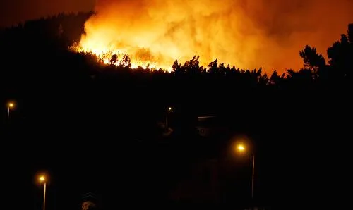 Cháy rừng tại Bolivia khiến hàng chục người thương vong