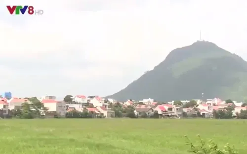 Phú Yên quy hoạch vùng, làng nghề nuôi chim yến