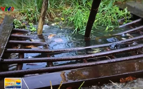 Cần Thơ: Tắc nghẽn với rác, sình lầy, cống thoát nước có như không