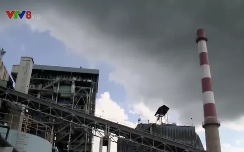 Trách nhiệm của doanh nghiệp với bảo vệ môi trường