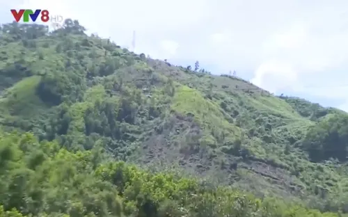 Thừa Thiên Huế: Thiếu đất sản xuất ở vùng cao do quy hoạch chậm