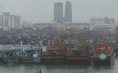 Ngư dân Đà Nẵng không chủ quan trước áp thấp nhiệt đới